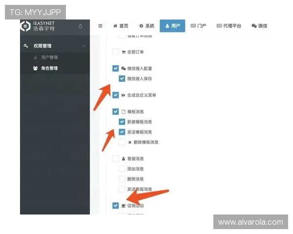 欧博代理管理系统登录权限设置与管理策略详解