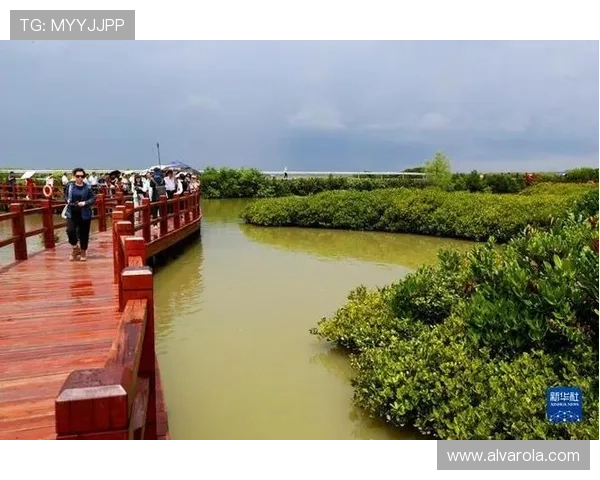 红树林娱乐:打造特色生态娱乐项目,提升旅游体验的多样性与趣味性 红树林娱乐:打造特色生态娱乐项目,提升旅游体验的多样性与趣味性